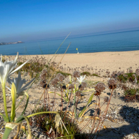 Sardinija - doživetja 2025