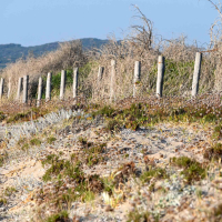 Sardinija - doživetja 2025