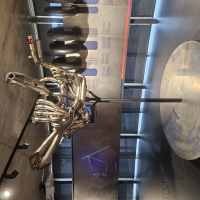 FIM generalna skupščina, 5. dec, Lozana