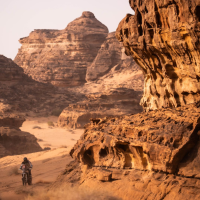 Po polovici 48. relija Dakar