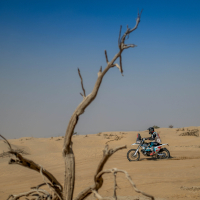 Konec 48. relija Dakar