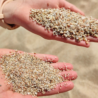 Moby Lines Sardinija