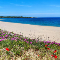 Moby Lines Sardinija