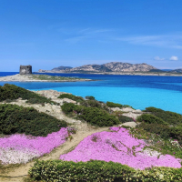 Moby Lines Sardinija