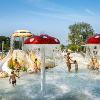 Kampiranje v Novigradu