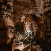 Pomladne počitnice v Njivicah