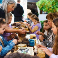 Festival Črna ovca v Baški