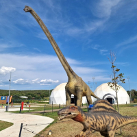 Kamp Mon Perin v Balah - partnerska ugodnost za člane AMZS II