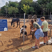 Kamp Mon Perin v Balah - partnerska ugodnost za člane AMZS II
