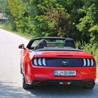 Mustang09.jpg