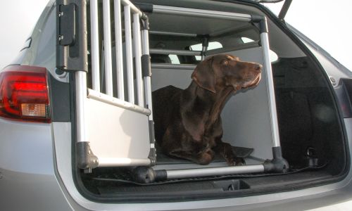 AMZS test pripomočkov za varen prevoz psov