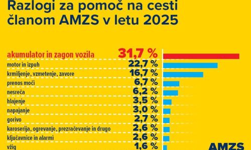 Sneg in mraz v začetku leta povzročila povečano število primerov AMZS pomoči na cesti