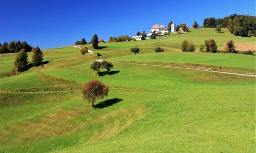 Zeleni izlet: Po obrobju Moravške doline od Gradiškega jezera do Limbarske gore