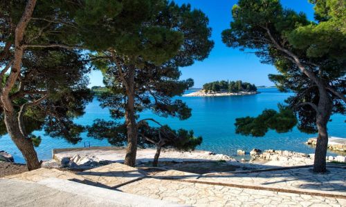 Kamp Kozarica v Pakoštanih omogoča uživanje ob morju v senci borovcev