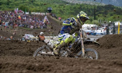 Gajser in Pancar bosta dirkala v Franciji